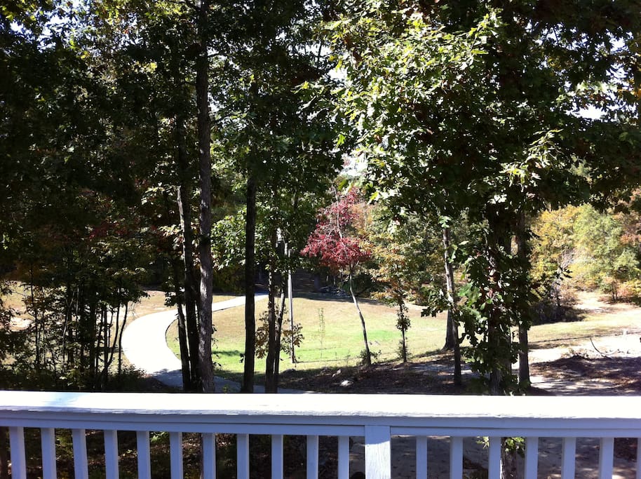 View from deck