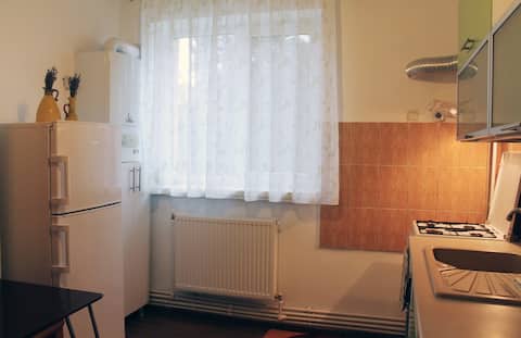 Successful Airbnb property: Old town City Center Apartment in Iași