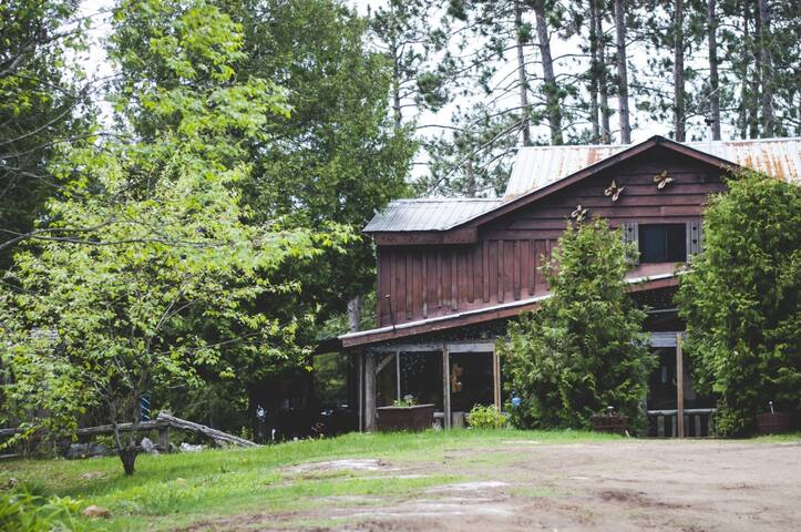 The Belladonna Retreat (Mellow Yellow)