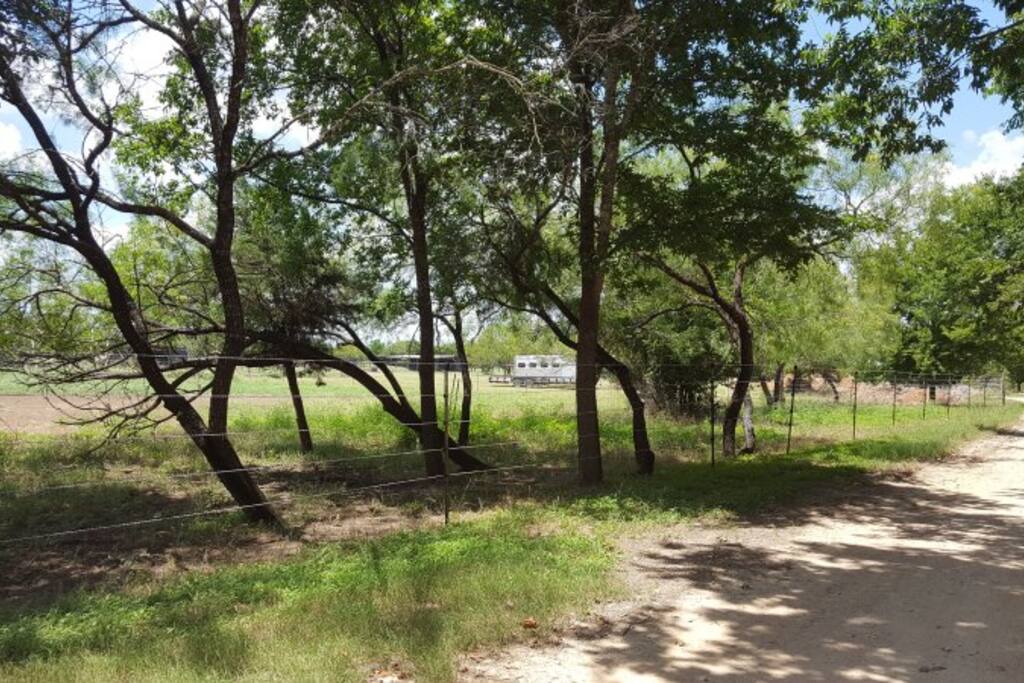 The ranch has acres and acres of trees, grass, and true farm life.