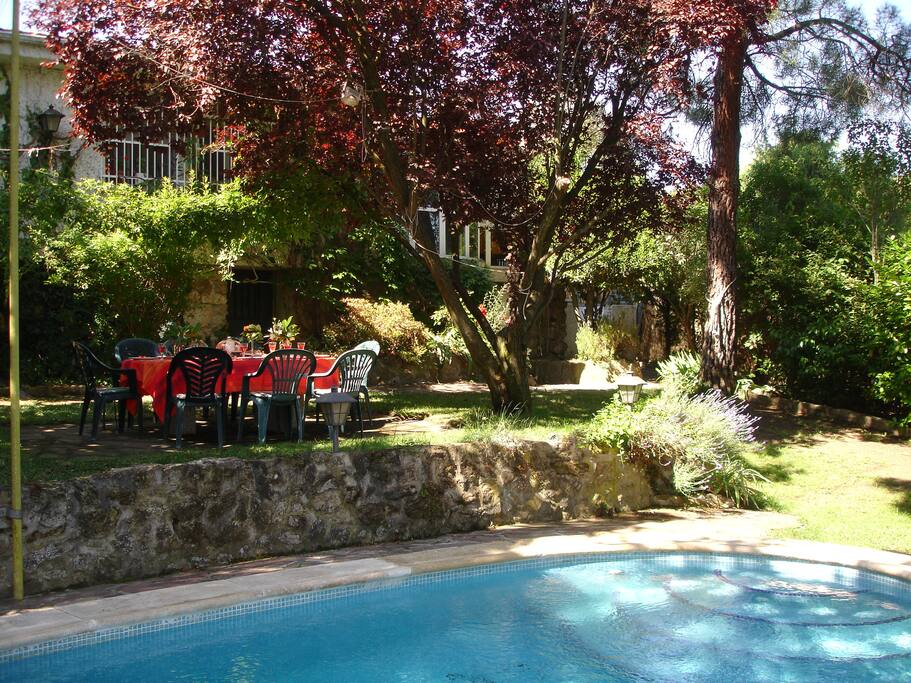 Jardín, piscina.