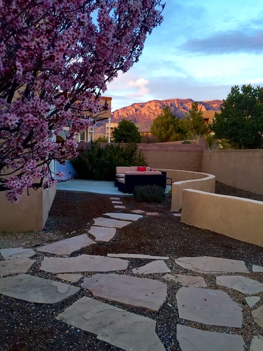 Backyard Sunset
