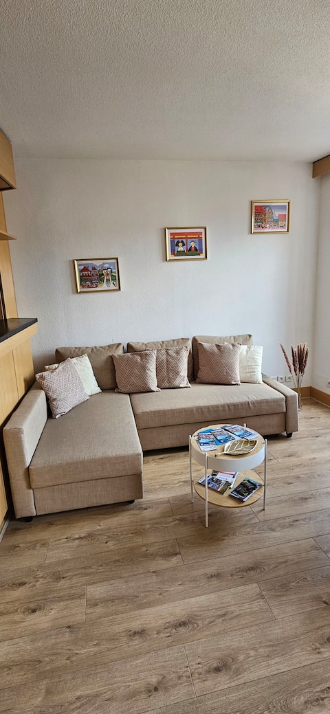 Top Airbnb: Little Venice apartment, hyper center, quiet à Haut Rhin