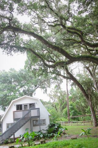 Cassie Peech and Company managed Airbnb listing 2