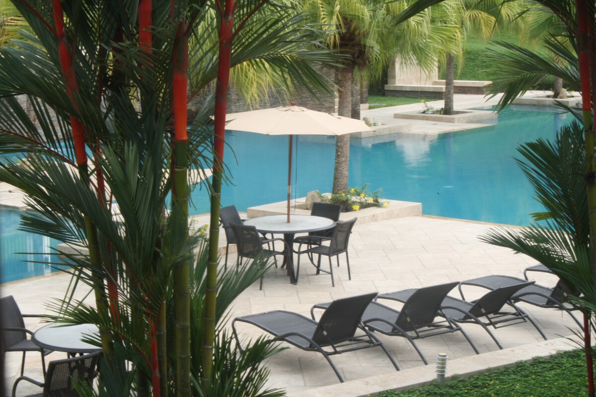 A serene pool area is surrounded by lush palm trees, featuring a spacious turquoise swimming pool. Six lounge chairs offer relaxation under the shade of an umbrella, while a stone table with chairs invites outdoor dining.
