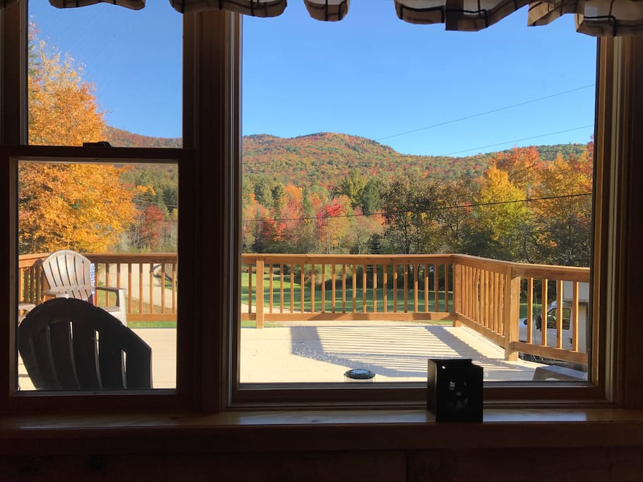 Looking at the fall colors from our dining area