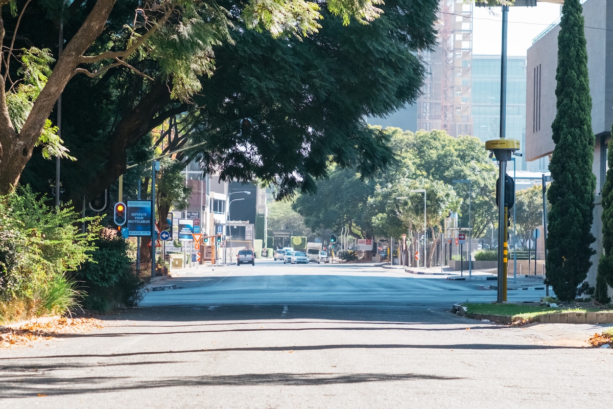 A wide street view features lined trees providing shade on either side. Various buildings are visible in the background, with clear skies above. Traffic signals and street signs indicate directions, while a few vehicles are seen in the distance, enhancing the urban setting.