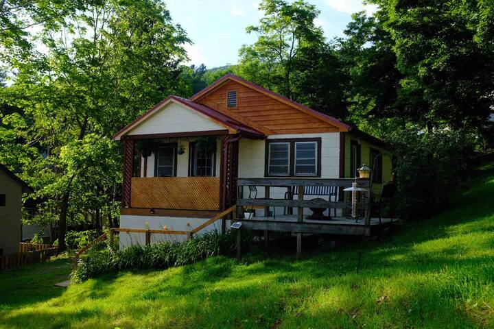 Bent Street Bungalow (Downtown Walk to Everything)