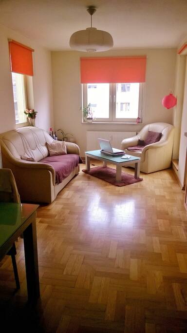 Living area, and here is also Your bed (sofa)