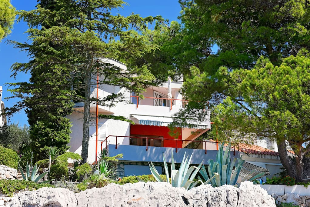 house and trees