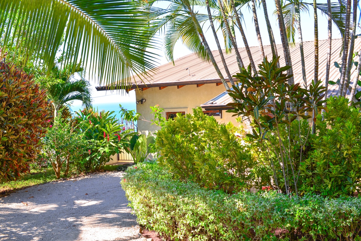 The exterior of Casa Sanchez is framed by lush tropical vegetation, featuring a variety of green plants and palm trees. A gravel path leads to the house, which is seen in the background, with partial views of the ocean visible through the foliage.