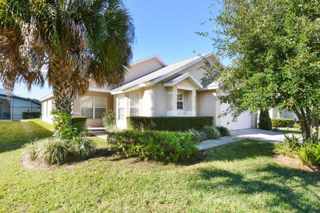 Building,Cottage,Yard,Palm Tree,Tree