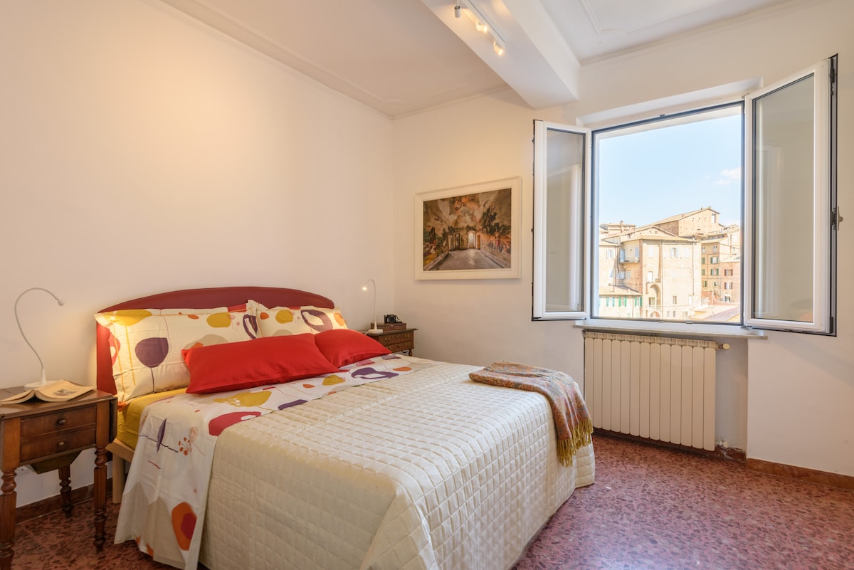 la camera matrimoniale: due cuscini con piume e due cuscini in memoria, un nuovo materasso king-size e una splendida vista dalla finestra