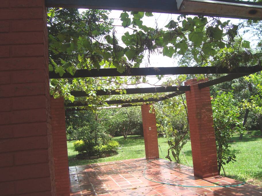 patio