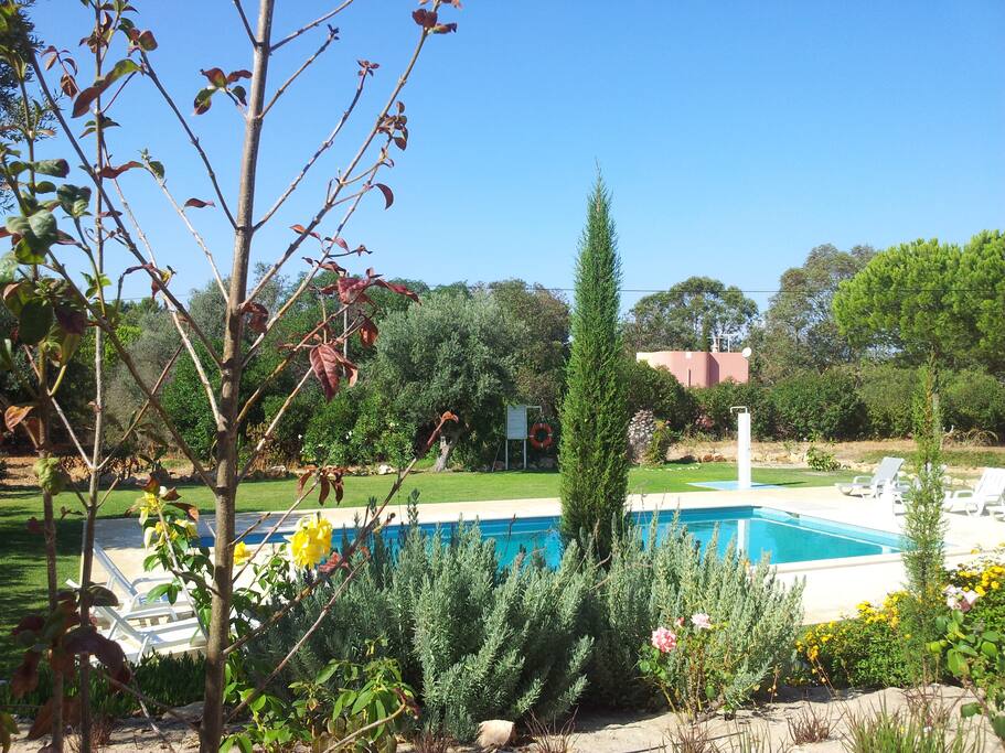Jardim / Piscina