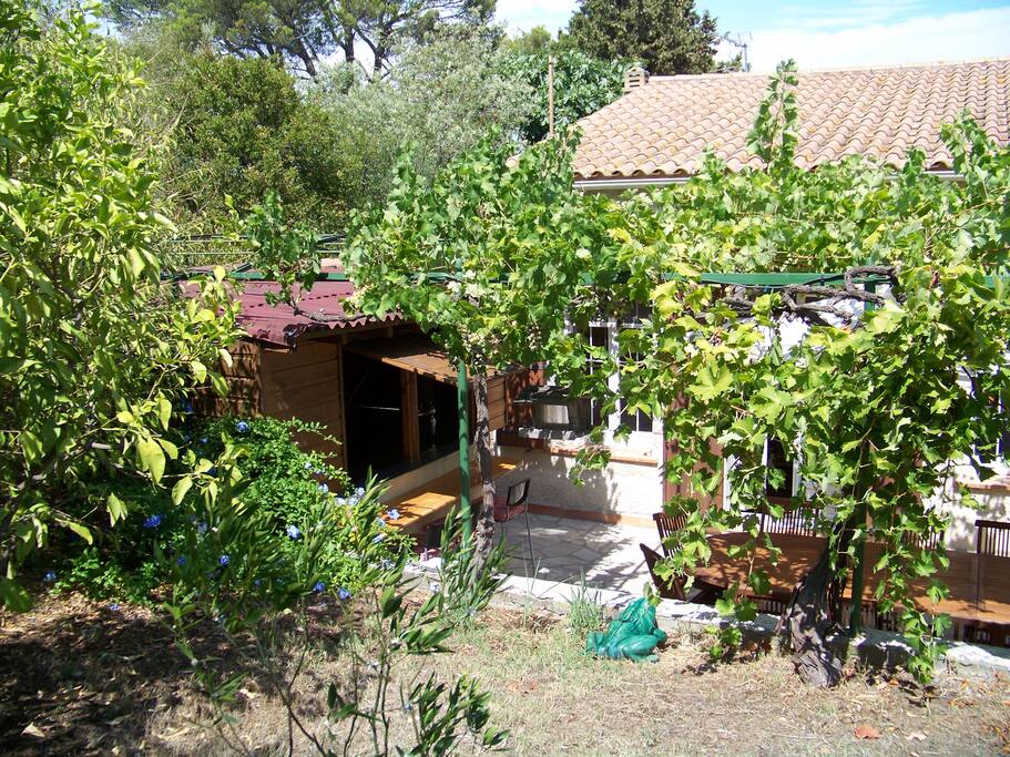 Devant de la maison avec sa tonnelle de raisin (l'été)