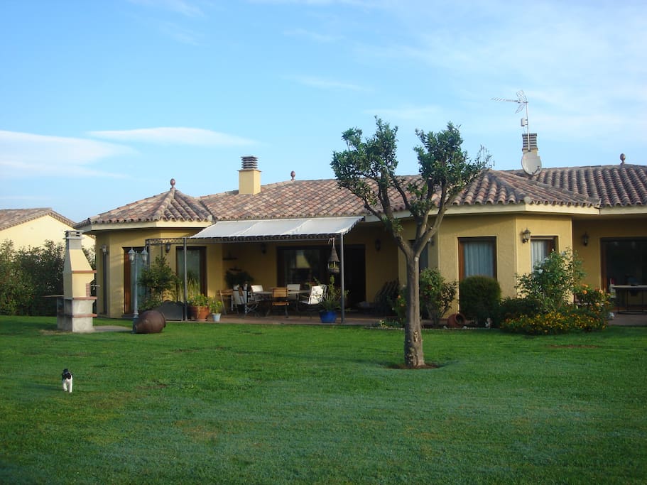 Vista jardín