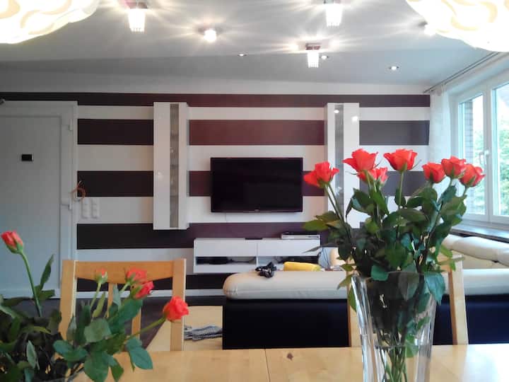 NEW Huge luxury apartment in the center Apartments for Rent in