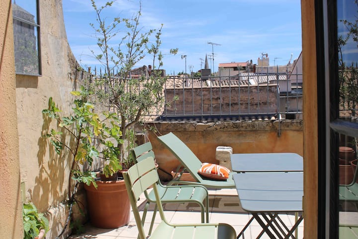 La Terrace du Forum - Arles Historical Center