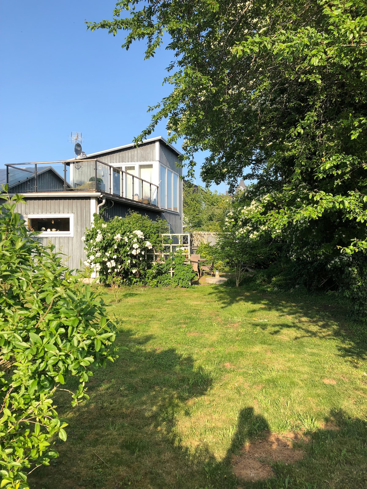 A spacious garden area features lush green grass and mature trees, providing shade and privacy. The house is showcased with large windows and a rooftop terrace visible above, blending with the natural surroundings. Climbing plants add a touch of greenery to the house's exterior.