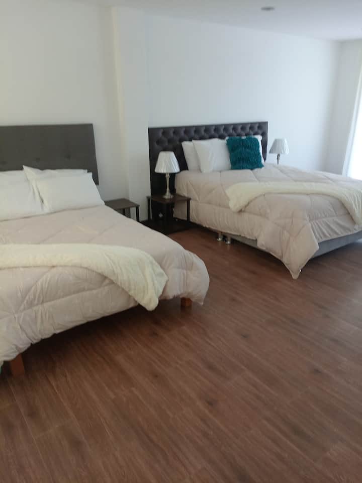  ห้องใหญ่กว้างขวาง - เตียงควีนไซส์ 1 เตียงและเตียง 2 ที่นั่งมองเห็นสวนสาธารณะ