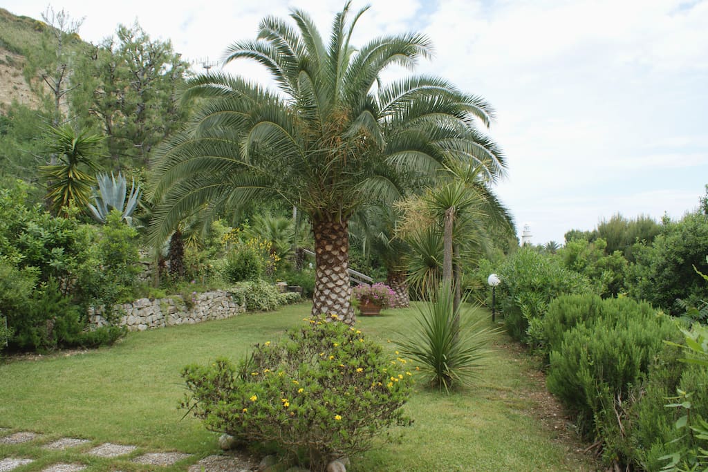 giardino privato dell'appartamento