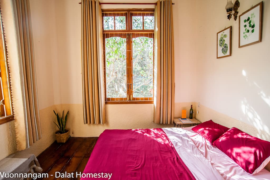 a sunny day - Private room in pink color