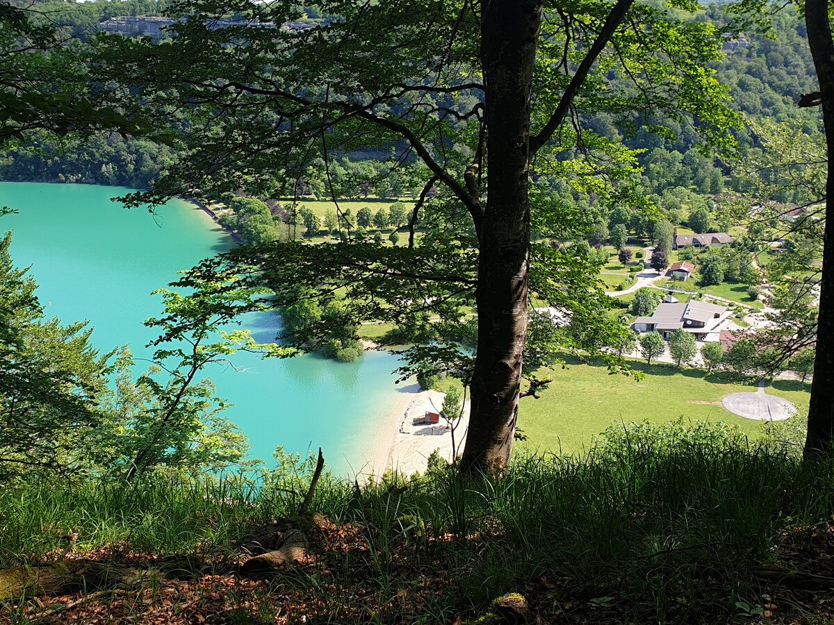 A panoramic view of a serene lake is framed by lush trees, showcasing turquoise waters. In the distance, a soft sandy beach is visible, accompanied by open green spaces and scattered structures, creating a harmonious landscape that invites relaxation and outdoor activities.