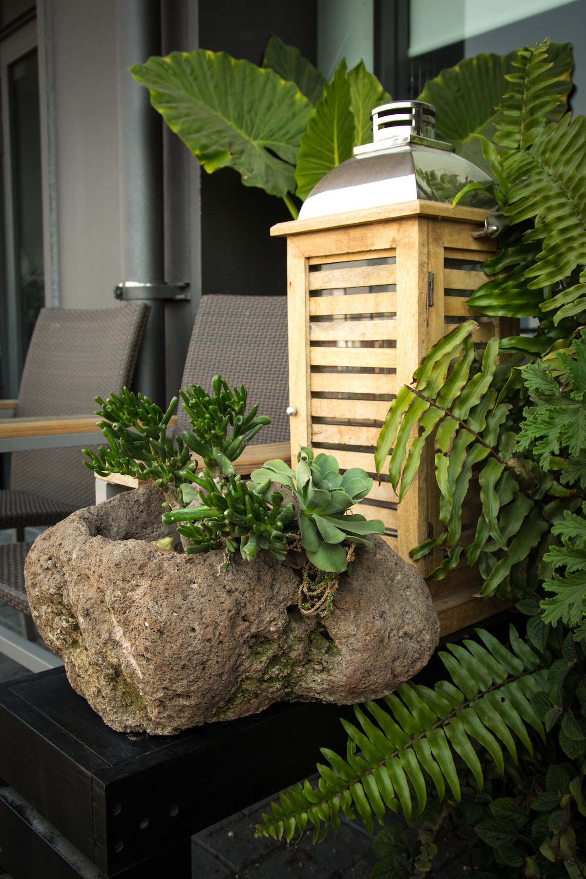 A cozy outdoor terrace features a wooden lantern alongside a rustic stone planter filled with a variety of green succulents. Lush ferns create a natural backdrop, enhancing the tranquil outdoor setting.