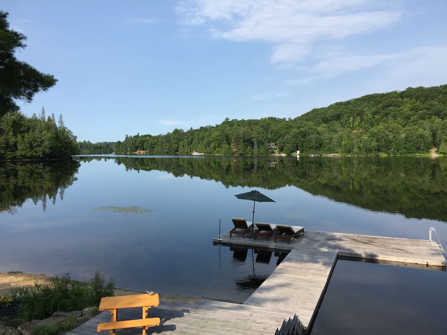 Dive off the dock