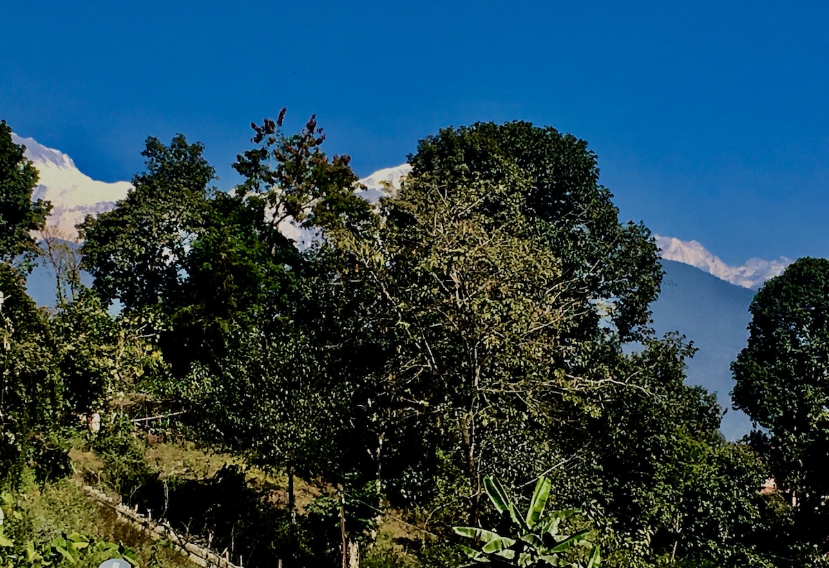 Lush greenery surrounds the view, with trees of varying heights creating a natural frame. In the background, mountains are visible under a clear blue sky, accentuating the serene outdoor landscape.