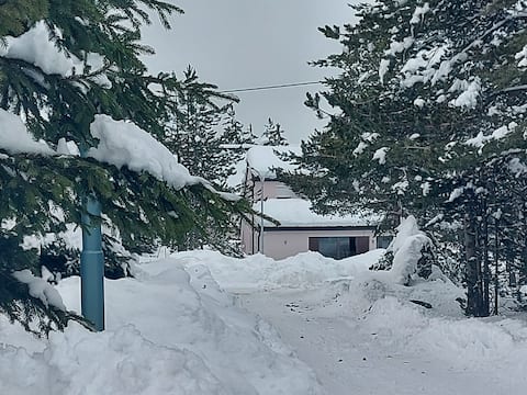 Villa Snjeguljica, ski staza  Park prirode Risovac