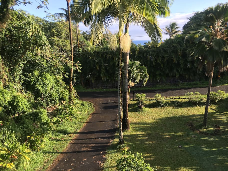 From the Lanai, winter sunrise.
