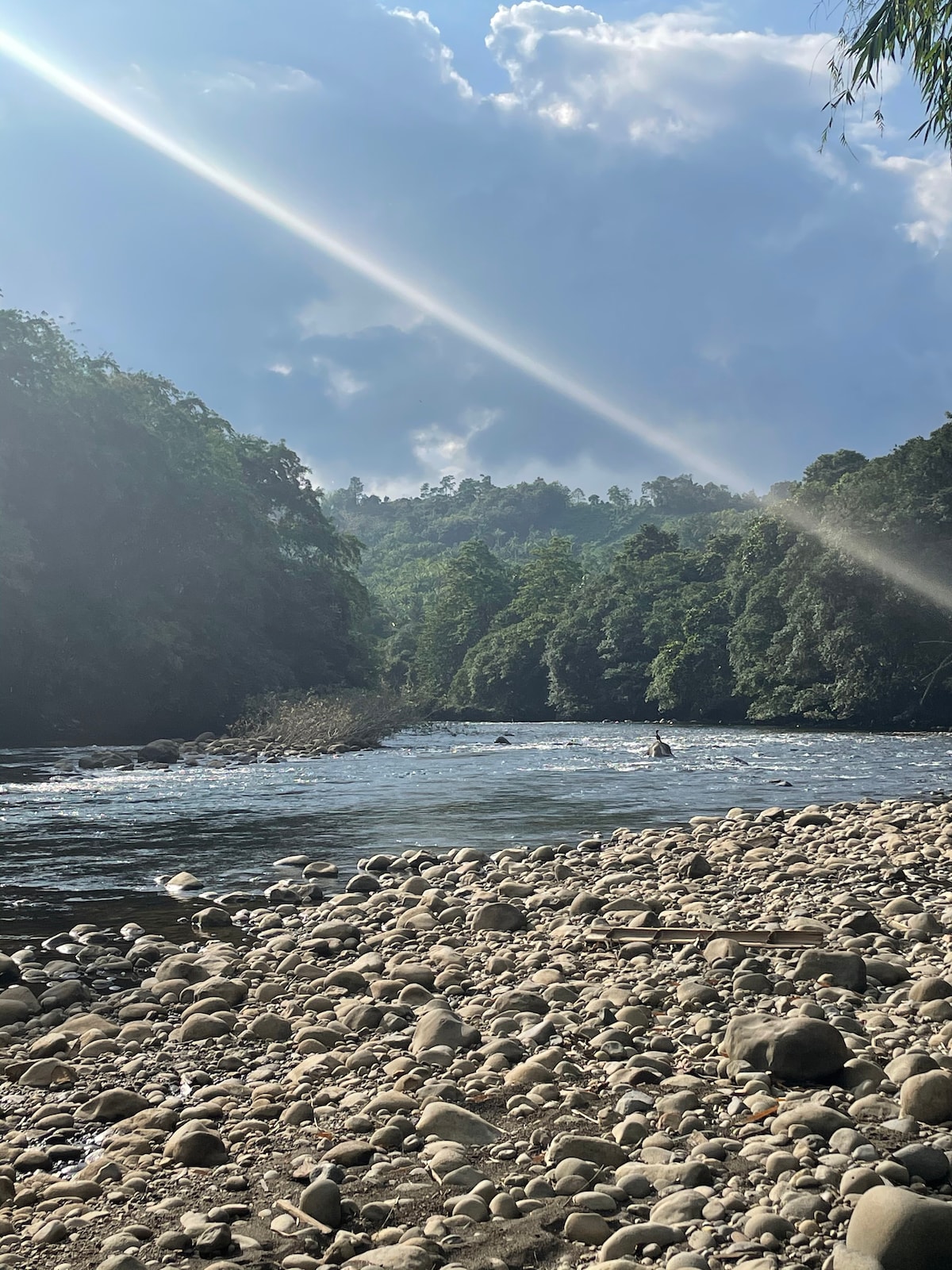 A serene riverside view captures the gentle flow of the Caoni River, bordered by lush green hills and dotted with smooth, rounded stones. The bright sky with scattered clouds allows sunlight to dance on the water's surface, creating a tranquil atmosphere.