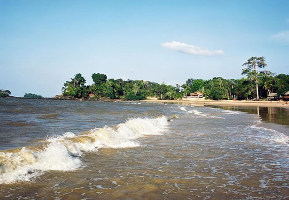 Praia de água doce, braço sul do Rio Amazonas