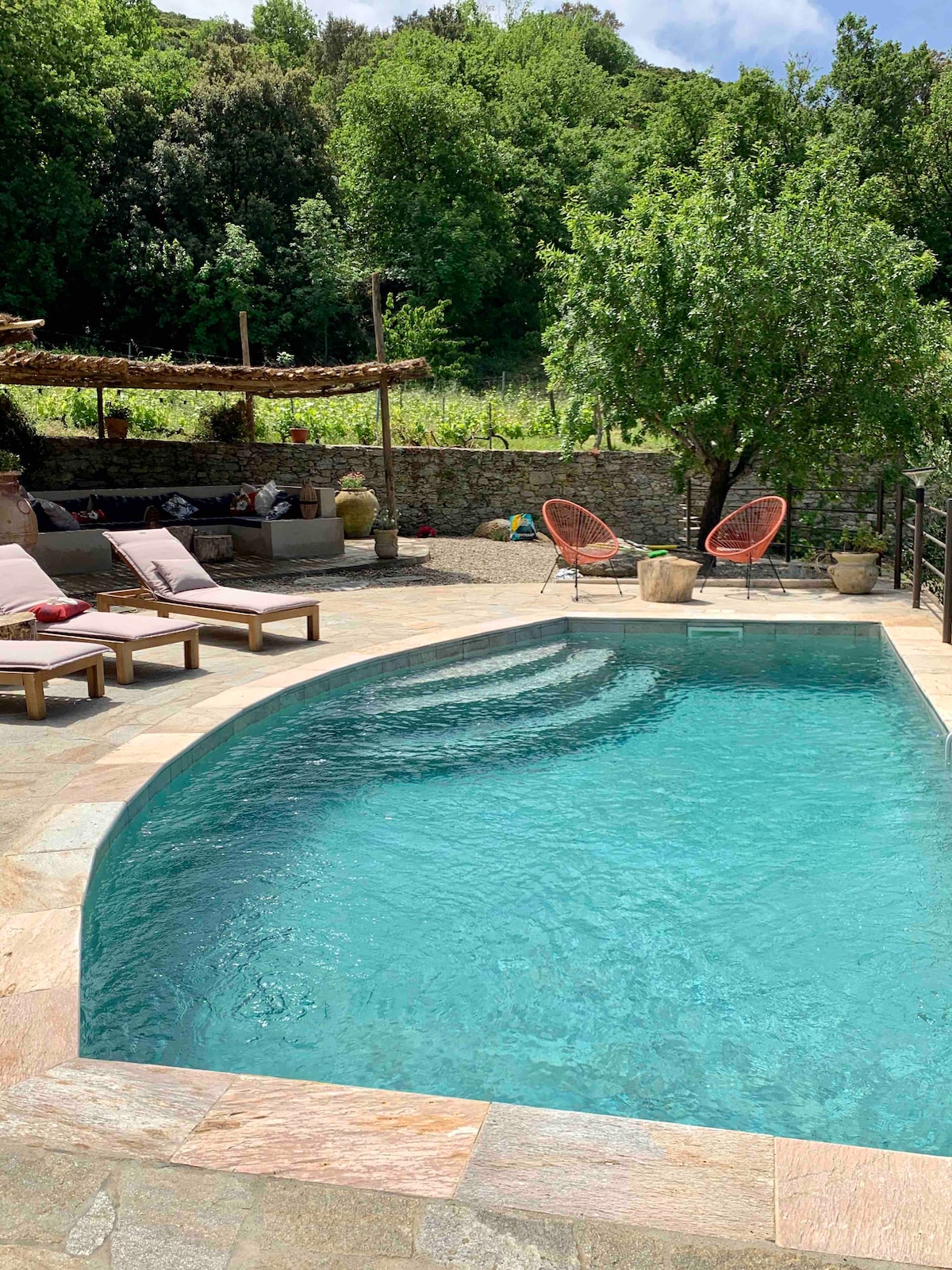 A private pool is surrounded by natural stone flooring and a lush green landscape. Lounge chairs are positioned alongside the water, while two colorful chairs provide additional seating near a shaded area covered by a trellis. Potted plants enhance the serene ambiance.