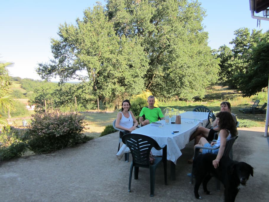 La vue de la terrasse, le jardin