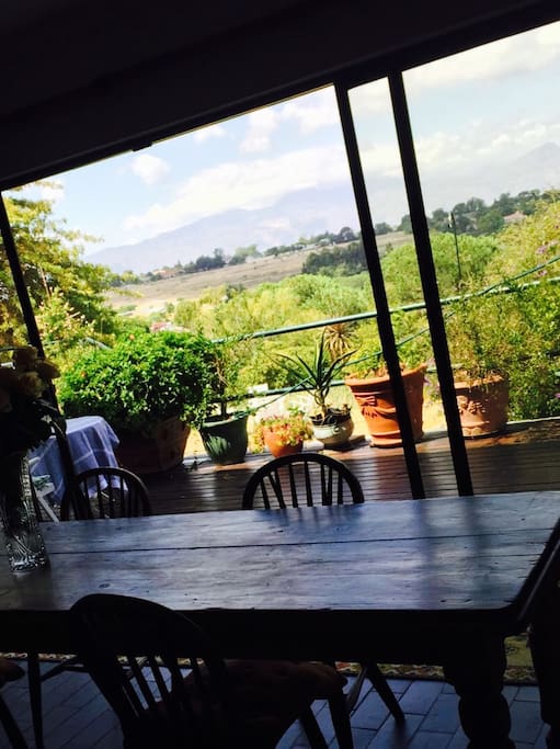 View from dining room table