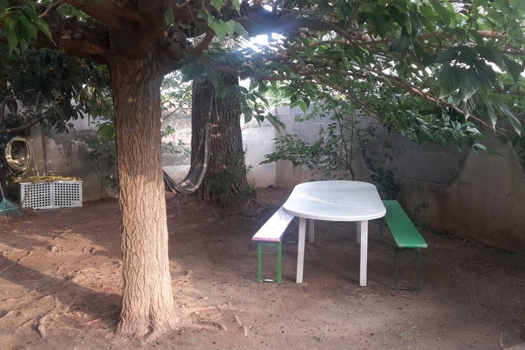La table dans le jardin sous les arbres pour un ptit dej à l'ombre...