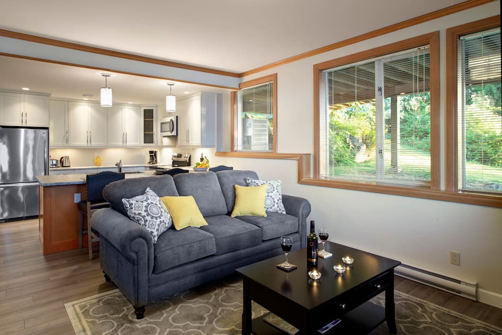Open concept living room and kitchen