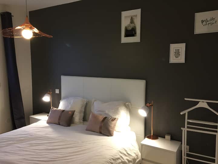 suita kryesore e rdc