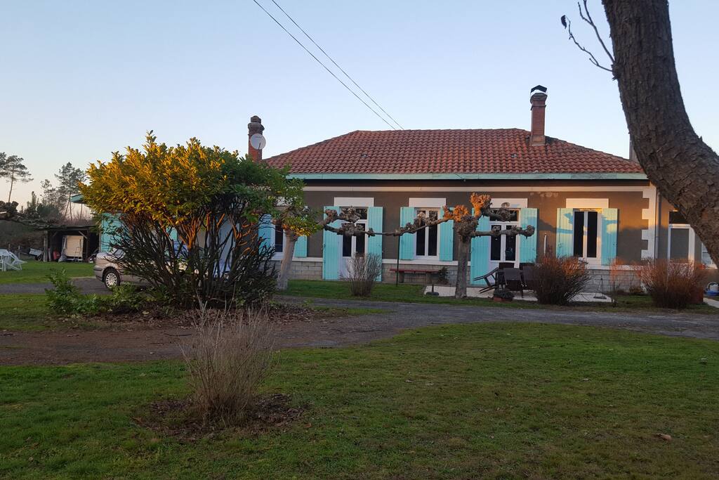Maison