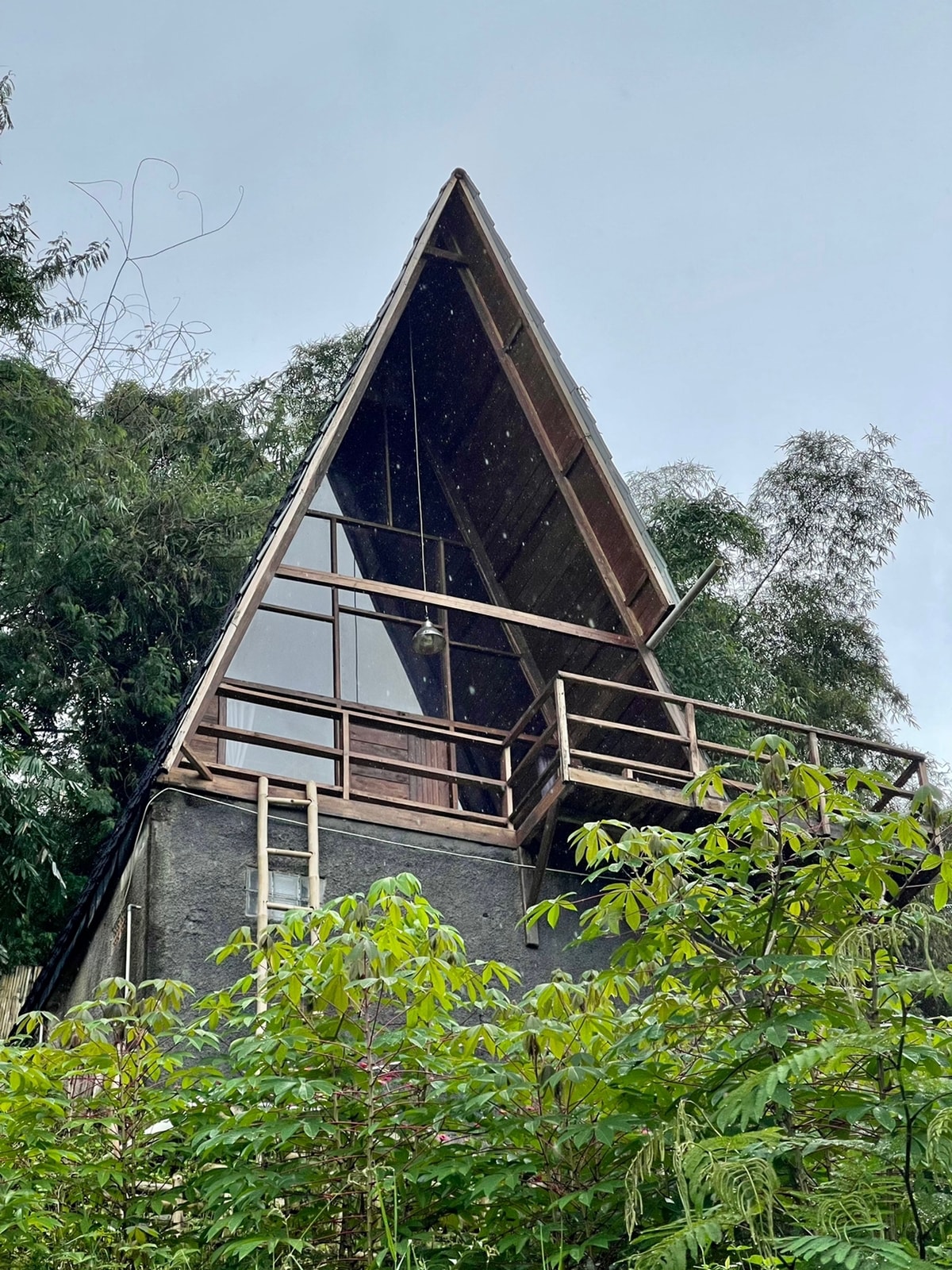 The A-frame structure of the cabin rises among greenery, featuring large glass windows that provide natural light. A balcony is accessible from the second floor, surrounded by lush plants and trees, creating a serene connection with nature.