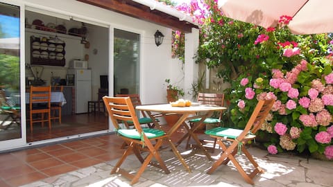 Top performing Airbnb: Country house near Ericeira beaches in Santo Isidoro