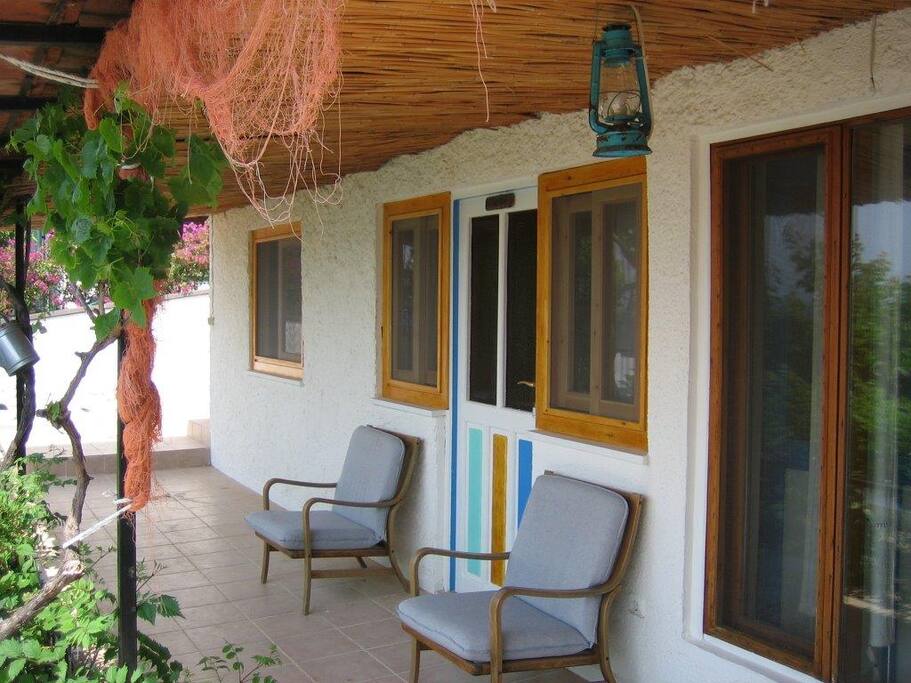 Terrace (with hammock) under the grapevine