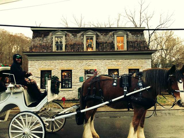 Suite Jane - entire 2 bedroom apartment