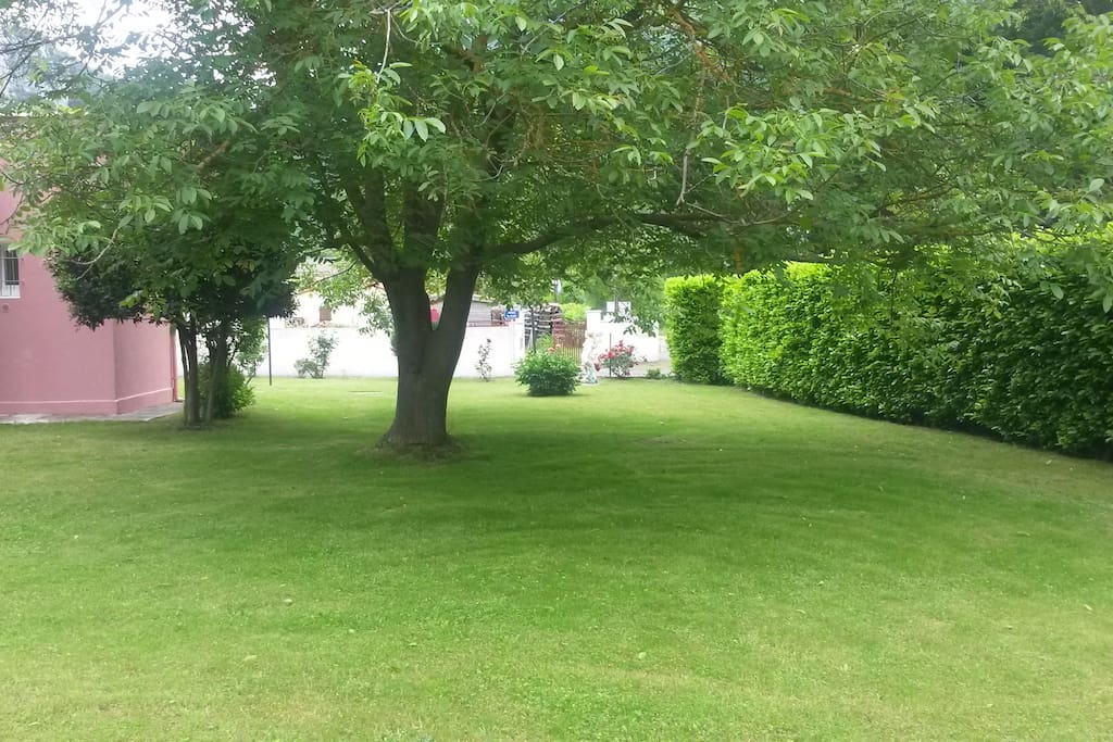 jardin arboré et clôturé