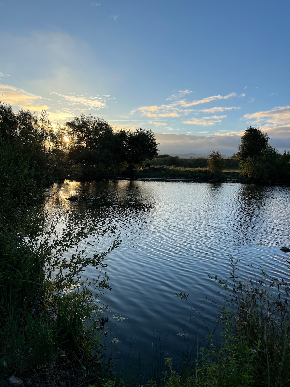 A tranquil scene of a private lake is depicted, surrounded by lush greenery and trees. The water reflects the soft hues of the sunset, with gentle ripples creating a serene atmosphere. The horizon features distant hills under a partially cloudy sky.