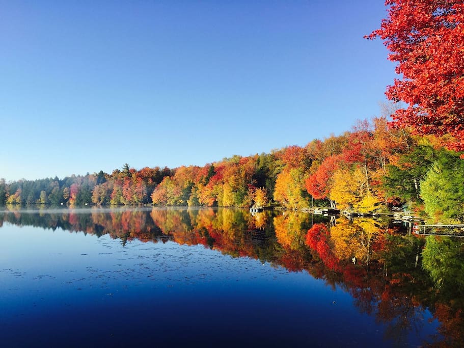 Beautiful in the Fall as well!