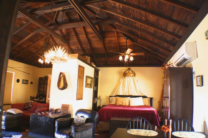 Original 1910 rafters, King Bed, Antler Chandelier, Sofa(sofa bed)